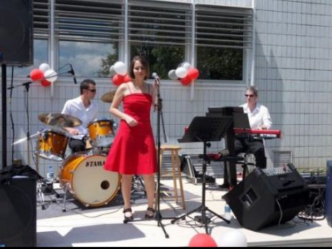 Chanteur musicien mariage, séminaire entreprise